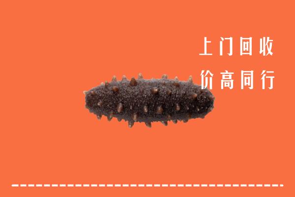 驻马店高价回收海参